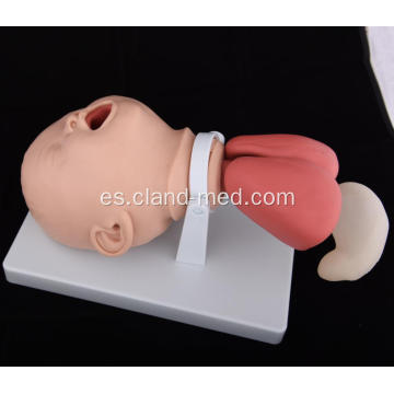 Modelo de entrenamiento de intubación infantil